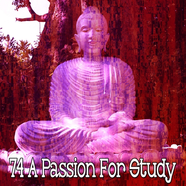 Couverture de 74 A Passion for Study