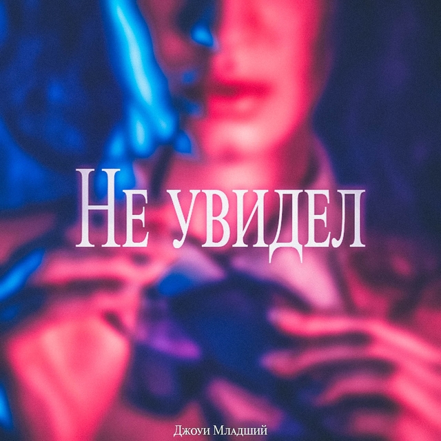 Couverture de Не увидел