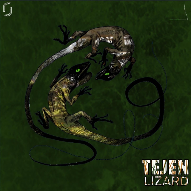 Couverture de Lizard