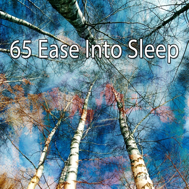 65 Ease into Sle - EP