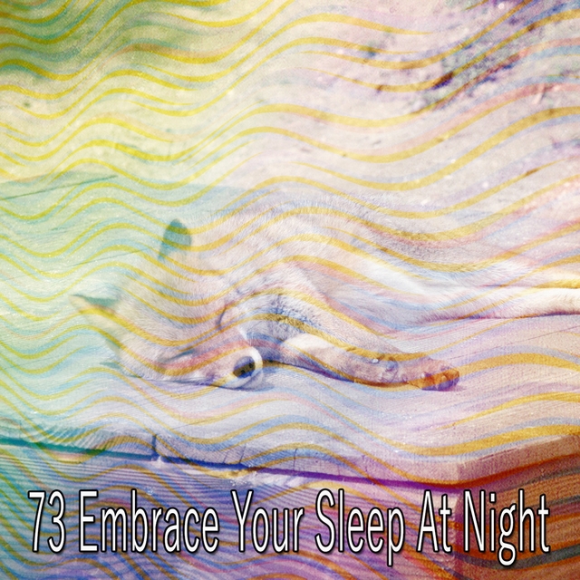 73 Embrace Your Sleep at Night