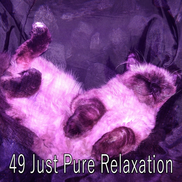 49 Just Pure Relaxation