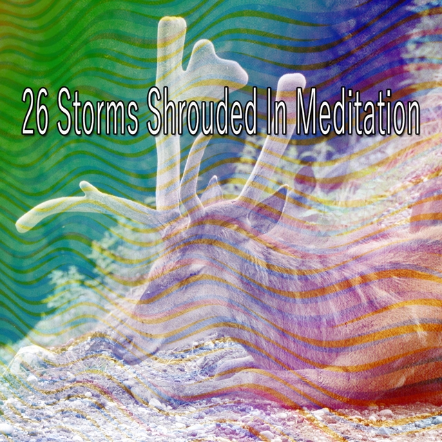 26 Storms Shrouded in Meditation