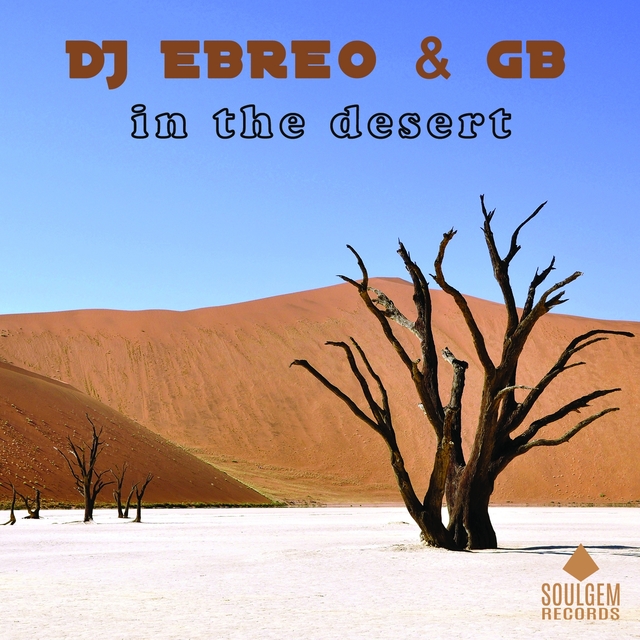 Couverture de In the desert