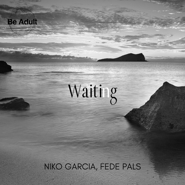 Couverture de Waiting