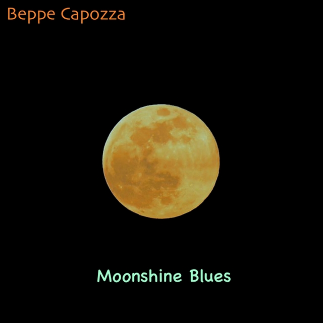 Couverture de Moonshine Blues