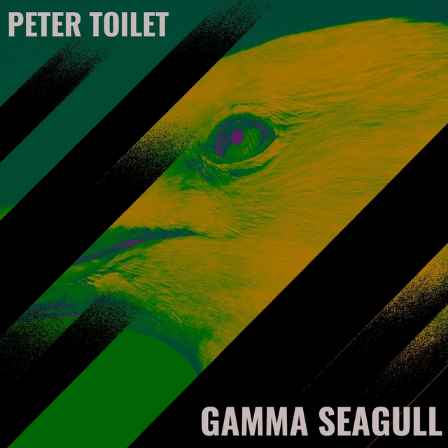 Couverture de Gamma Seagull