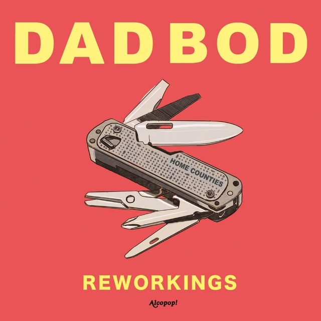 Couverture de Dad Bod Reworkings