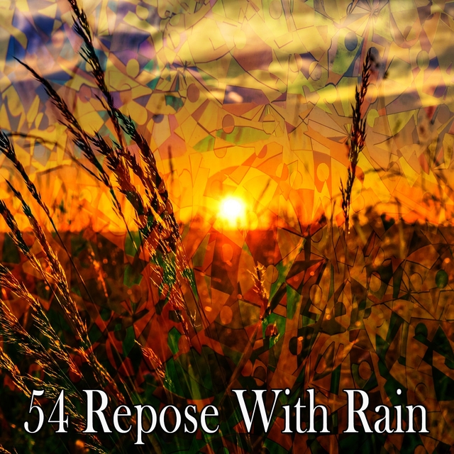 Couverture de 54 Repose with Rain