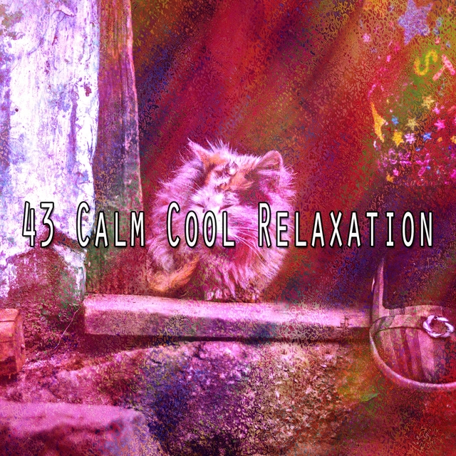Couverture de 43 Calm Cool Relaxation