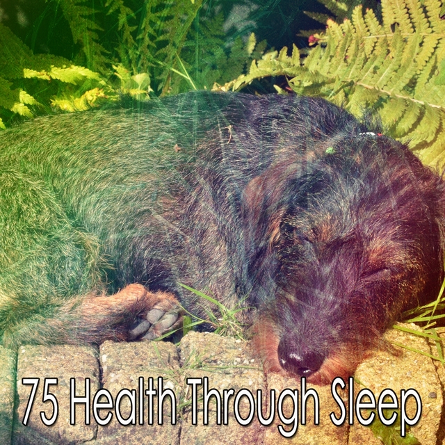 75 Health Through Sle - EP