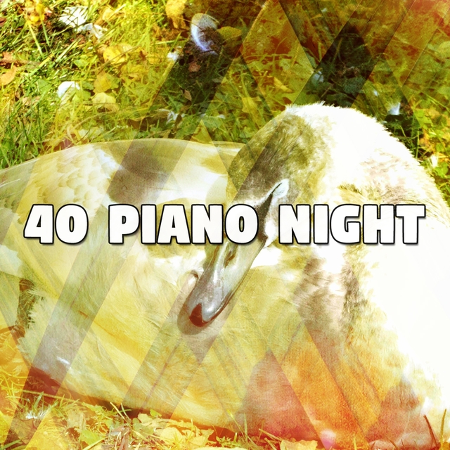 Couverture de 40 Piano Night