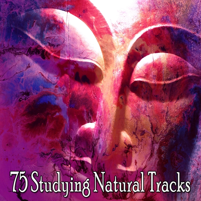 75 Studying Natural Tracks