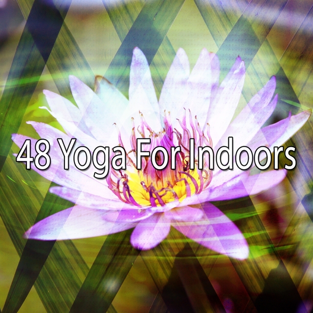 48 Yoga for Indoors