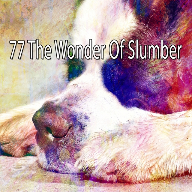 77 The Wonder of Slumber