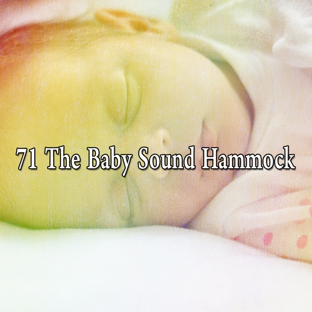 71 The Baby Sound Hammock