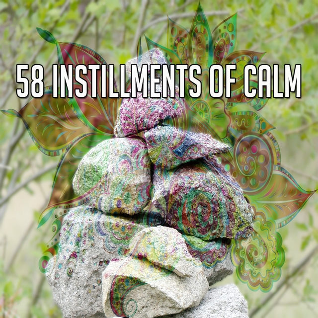 Couverture de 58 Instillments of Calm