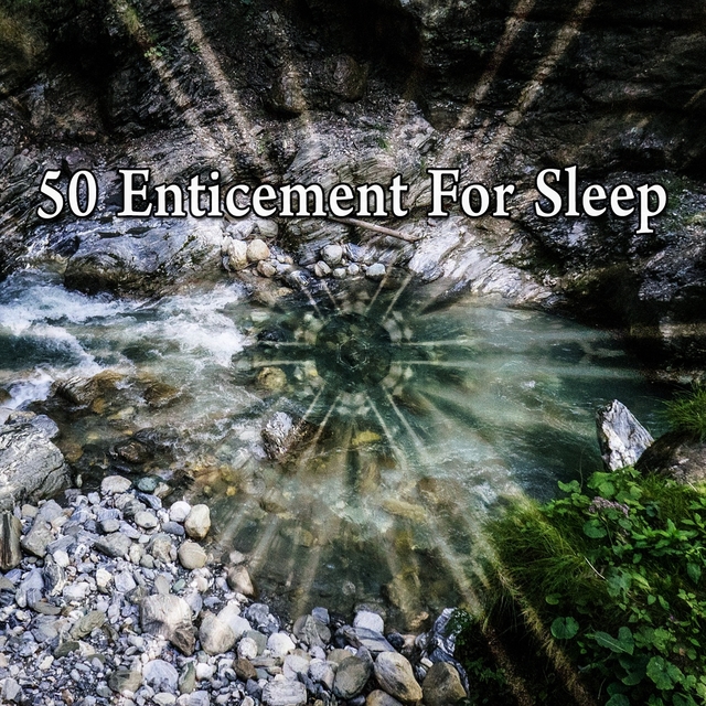 Couverture de 50 Enticement for Sle - EP