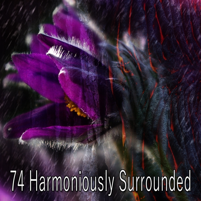 Couverture de 74 Harmoniously Surrounded