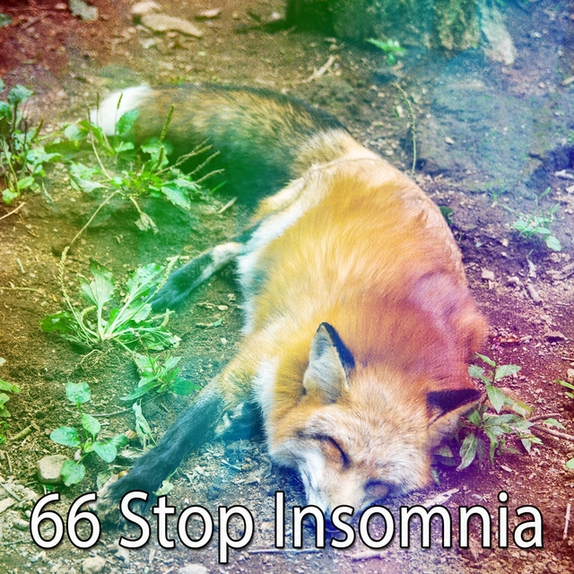 66 Stop Insomnia