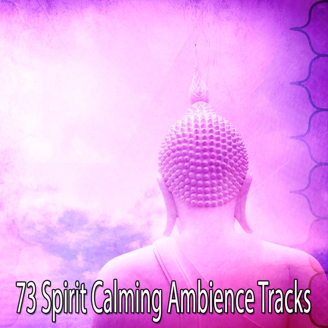 73 Spirit Calming Ambience Tracks