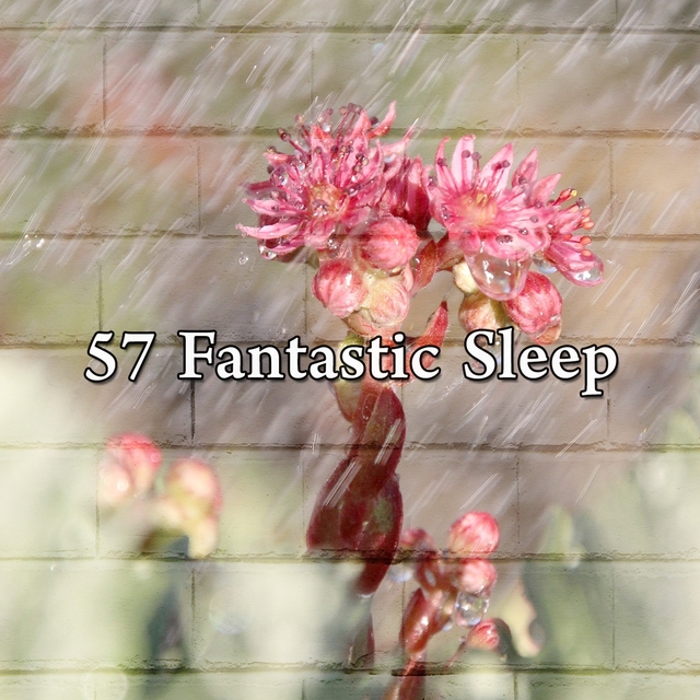 57 Fantastic Sle - EP