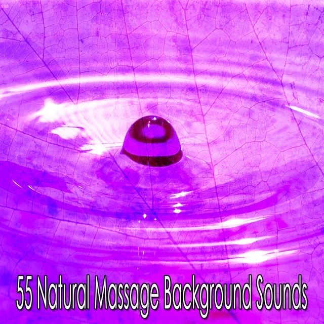 Couverture de 55 Natural Massage Background Sounds