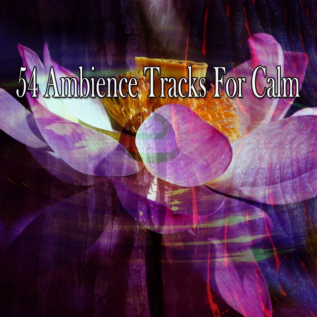 Couverture de 54 Ambience Tracks for Calm