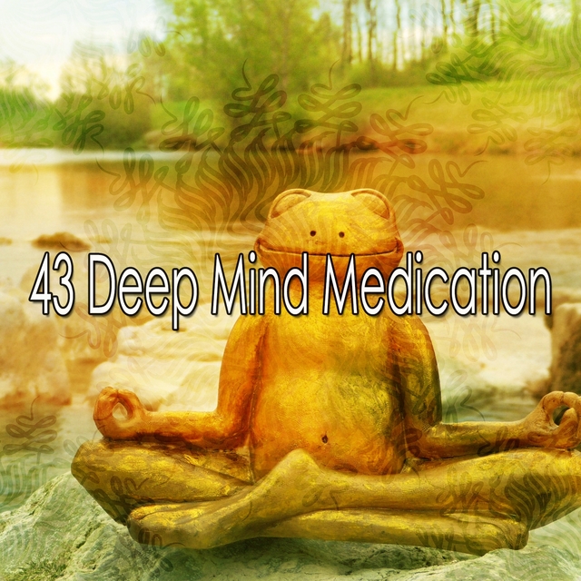 Couverture de 43 Deep Mind Medication