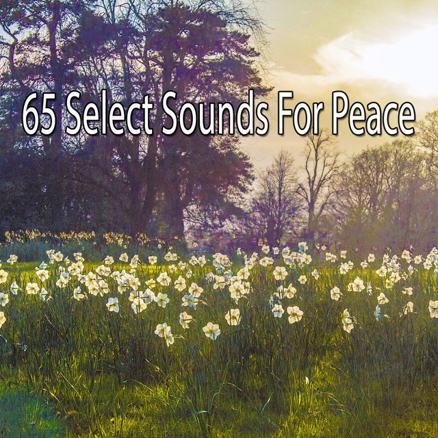 65 Select Sounds for Peace