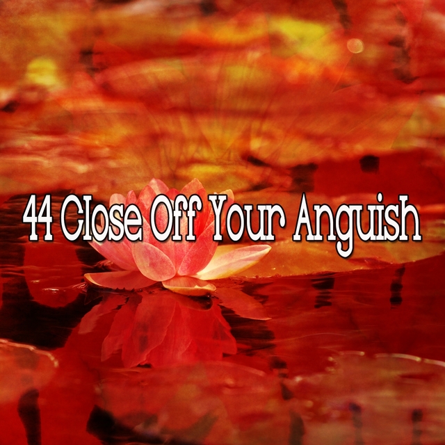 Couverture de 44 Close Off Your Anguish