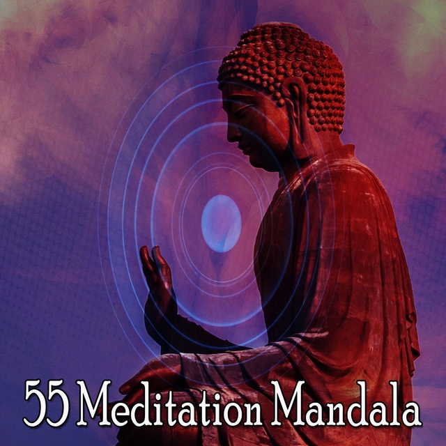 Couverture de 55 Meditation Mandala