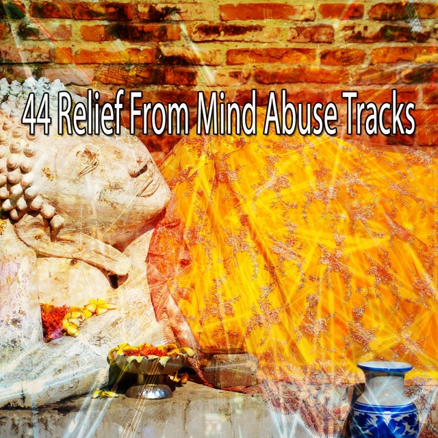 Couverture de 44 Relief from Mind Abuse Tracks