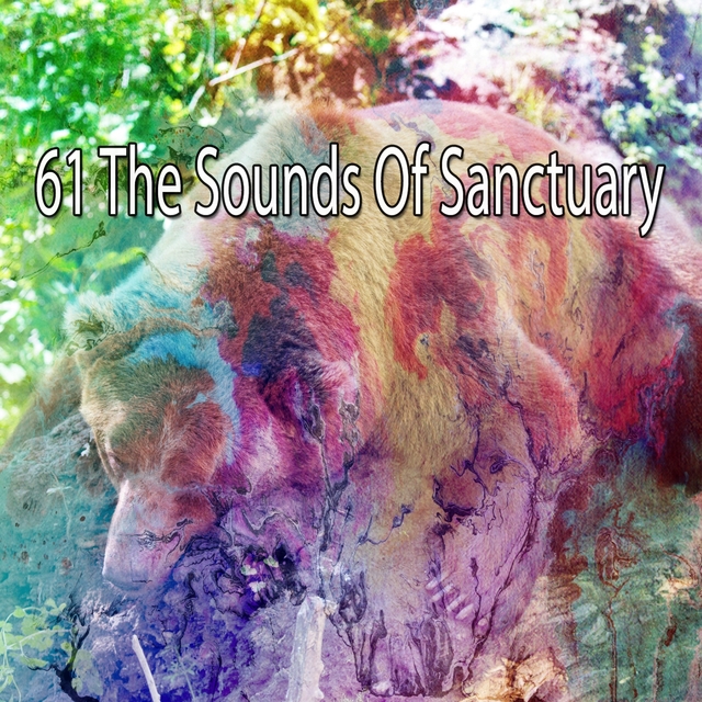 Couverture de 61 The Sounds of Sanctuary