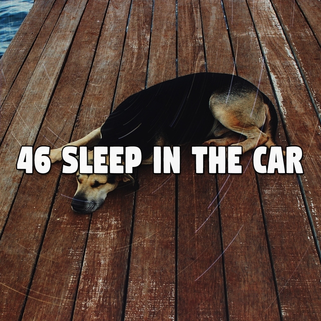 46 Sleep in the Car