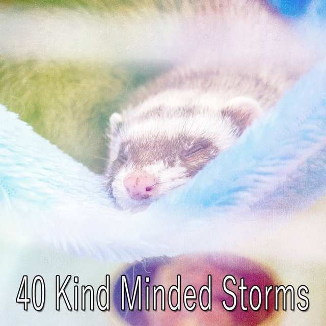 40 Kind Minded Storms