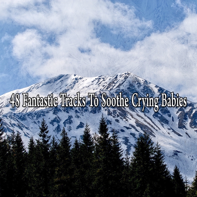 Couverture de 48 Fantastic Tracks to Soothe Crying Babies