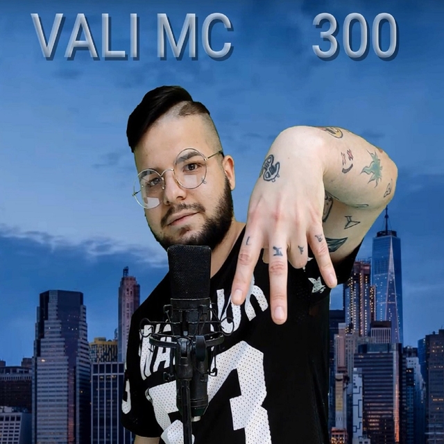 Couverture de VALI MC  300