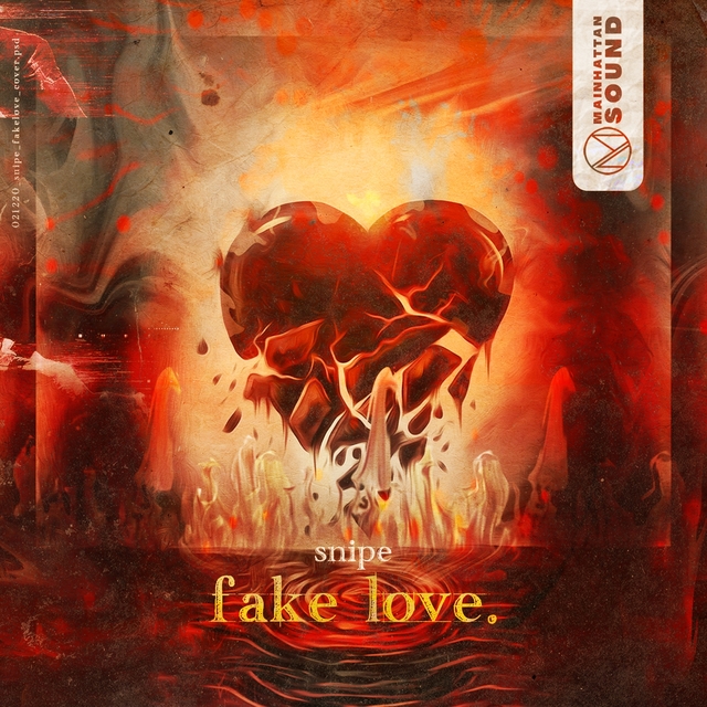 Couverture de Fake Love