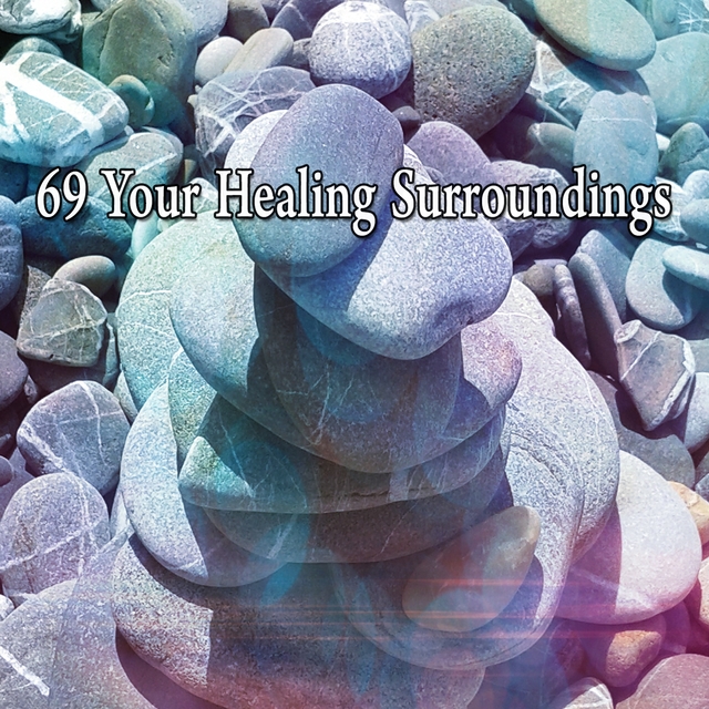 Couverture de 69 Your Healing Surroundings