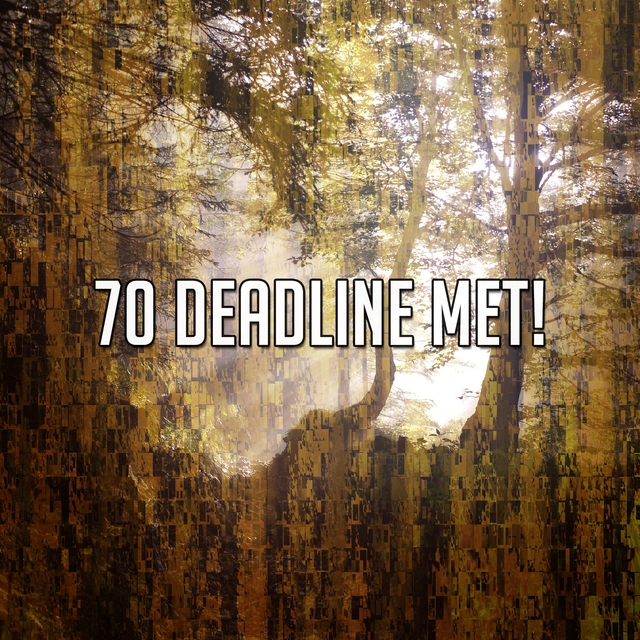70 Deadline Met!