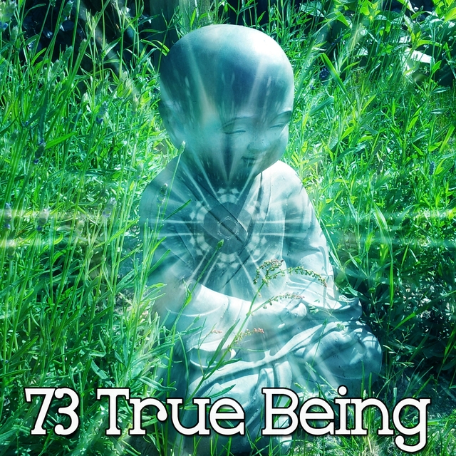 Couverture de 73 True Being