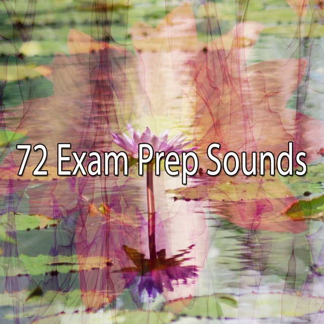 Couverture de 72 Exam Prep Sounds