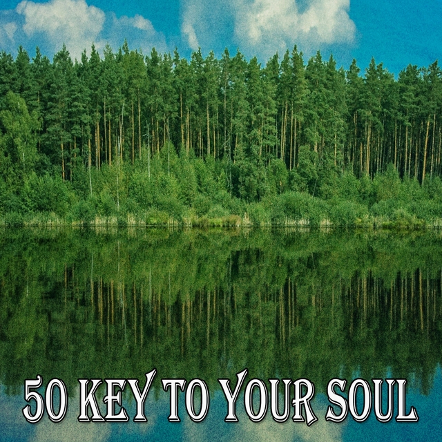 Couverture de 50 Key to Your Soul