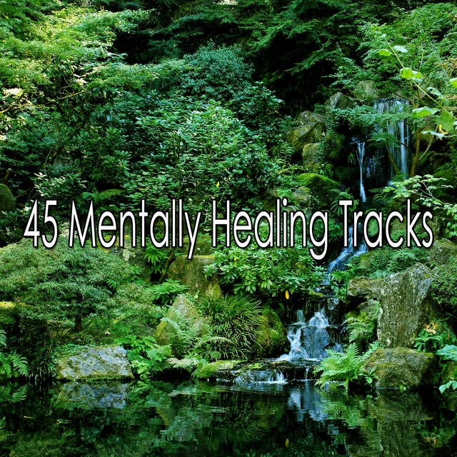 Couverture de 45 Mentally Healing Tracks