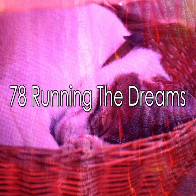 Couverture de 78 Running the Dreams