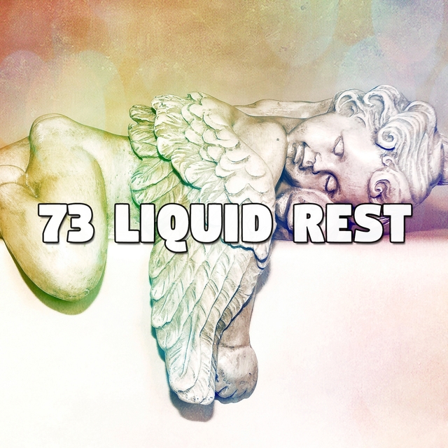 Couverture de 73 Liquid Rest