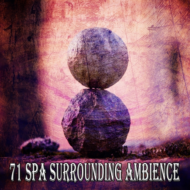 Couverture de 71 Spa Surrounding Ambience