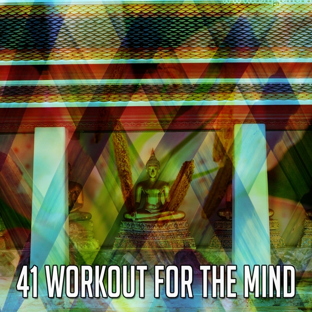 41 Workout for the Mind