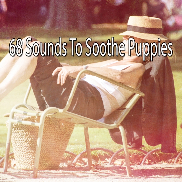 68 Sounds to Soothe Puppies